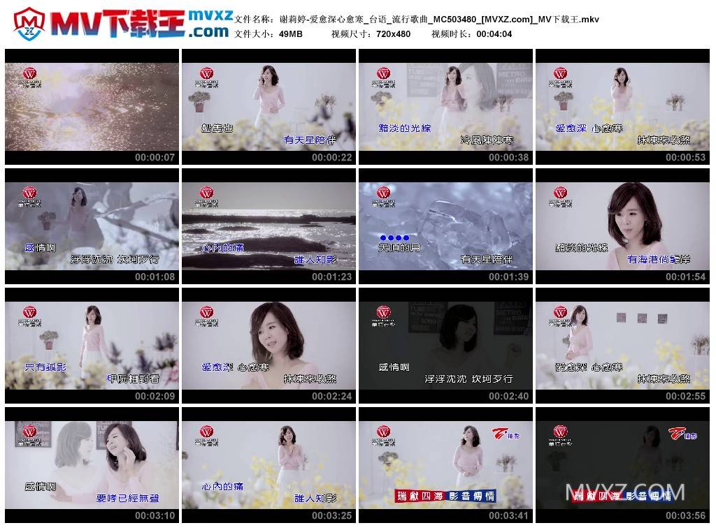 谢莉婷-爱愈深心愈寒_台语_流行歌曲_MC503480